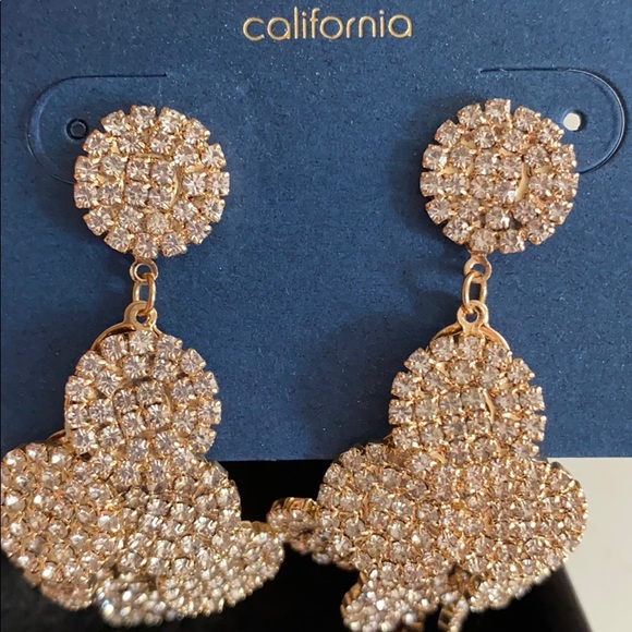 Dangling Earrings - Picture 3 of 3